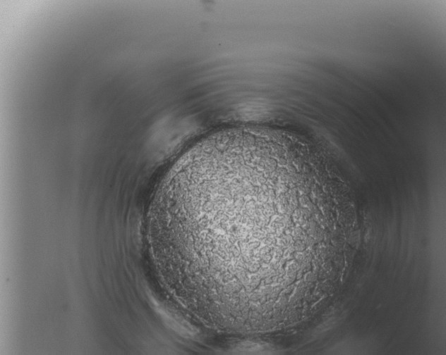 X0000077380542200610271948