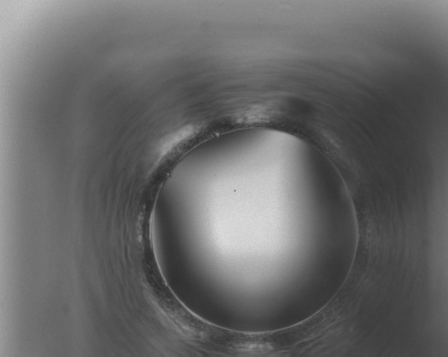 X0000077380543200610271948