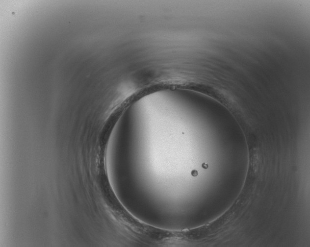 X0000077380544200610271948