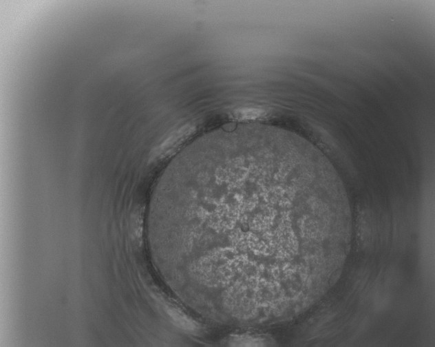 X0000077380545200610271949