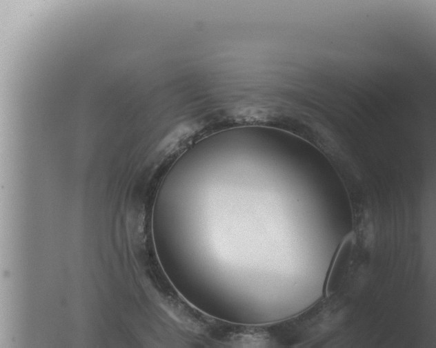 X0000077380548200610271949