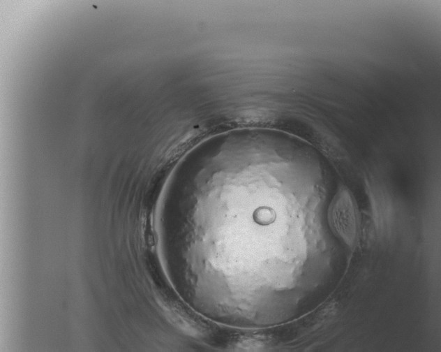 X0000077380550200610271949