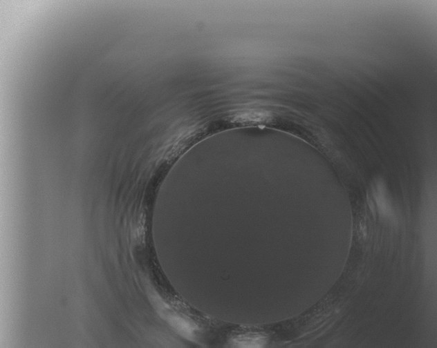 X0000077380551200610271949