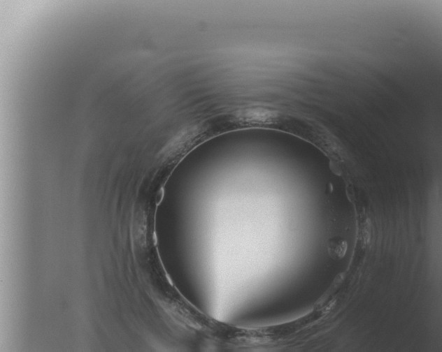 X0000077380552200610271949