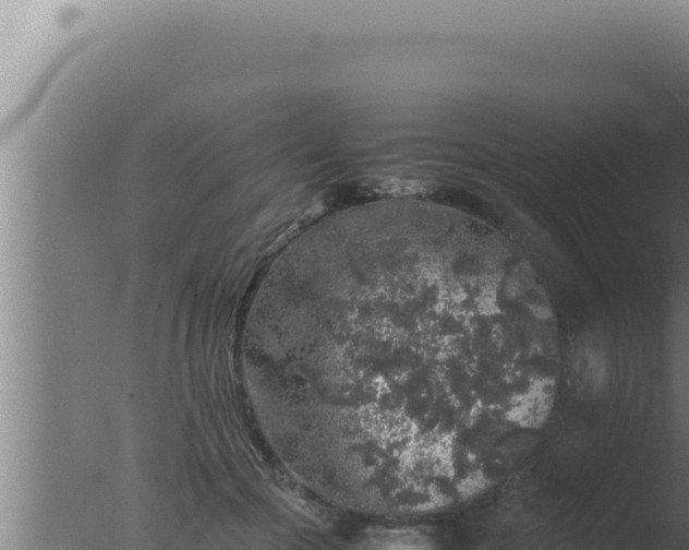 X0000077380553200610271949