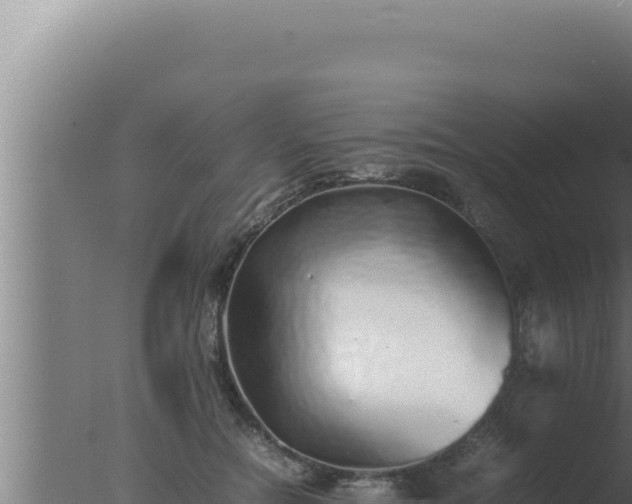 X0000077380554200610271949