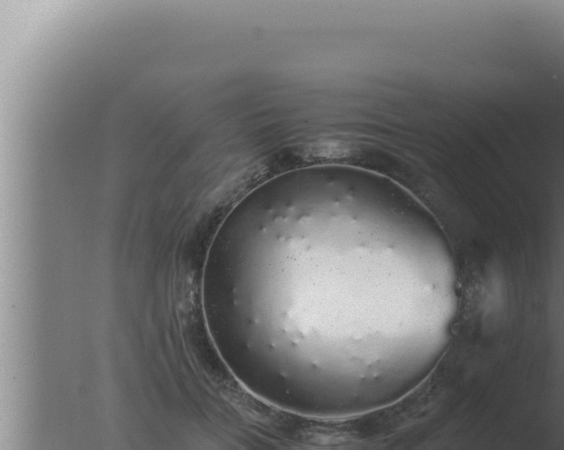 X0000077380555200610271949