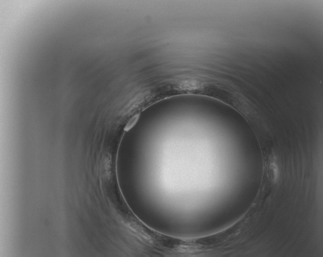 X0000077380556200610271949