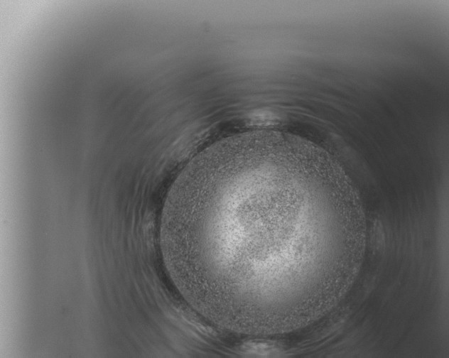 X0000077380557200610271949