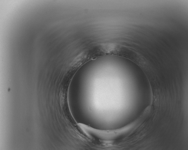 X0000077380558200610271949