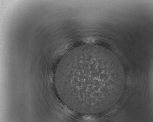 X0000077380561200610271949