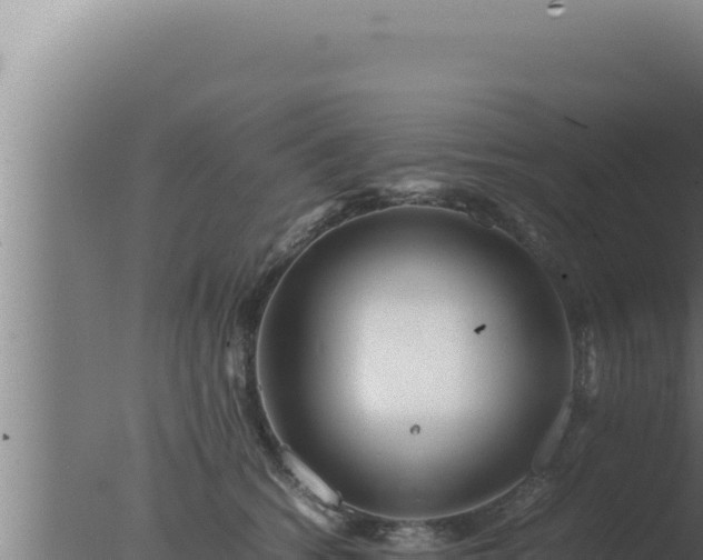 X0000077380562200610271949