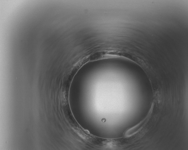 X0000077380564200610271949