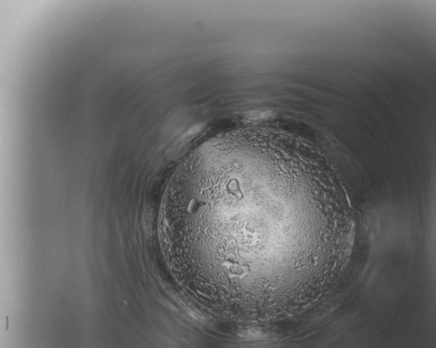 X0000077380565200610271949