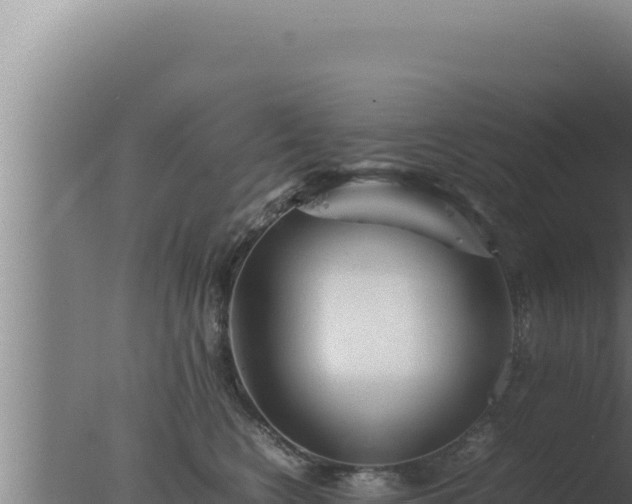 X0000077380566200610271949