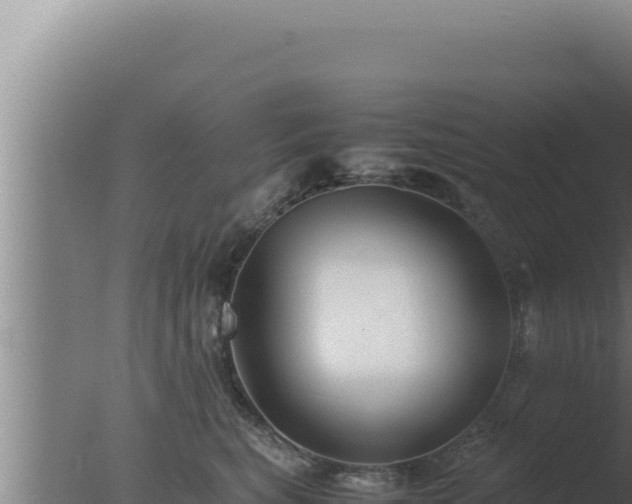 X0000077380567200610271949