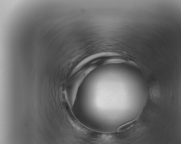 X0000077380570200610271949