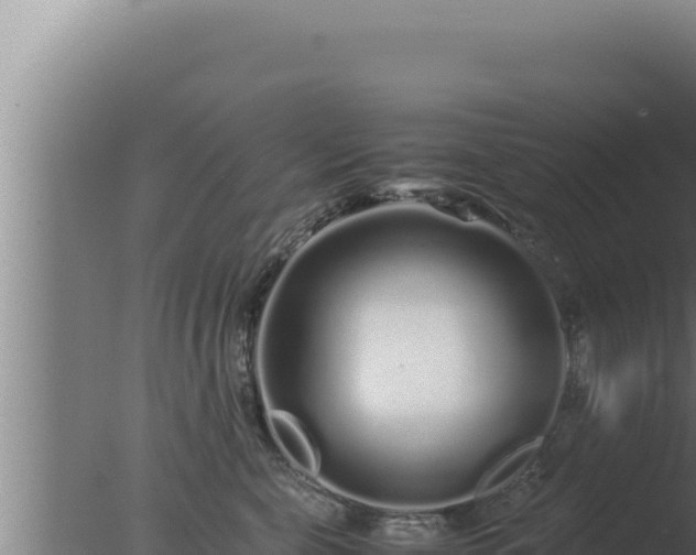 X0000077380571200610271949