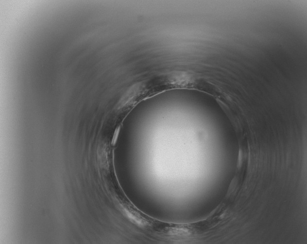 X0000077380572200610271949