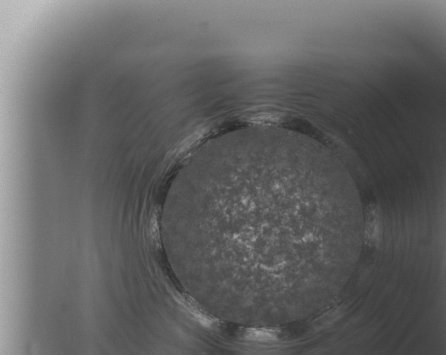 X0000077380573200610271949