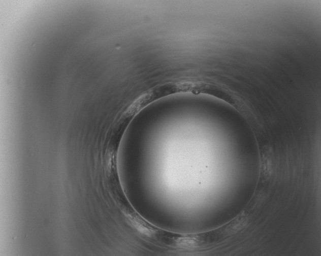 X0000077380574200610271949