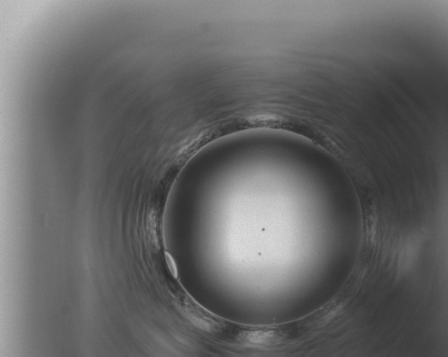 X0000077380575200610271949