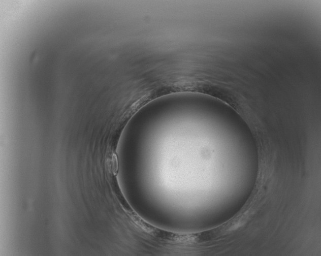 X0000077380576200610271949