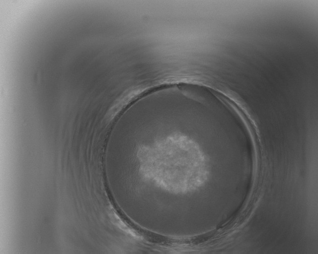 X0000077380577200610271948