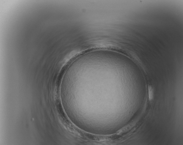 X0000077380579200610271948