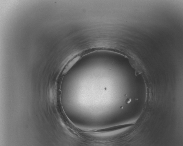 X0000077380580200610271948