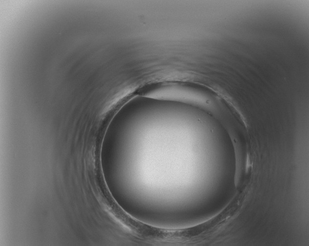 X0000077380581200610271948