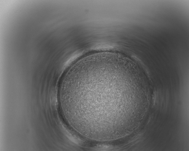 X0000077380582200610271948