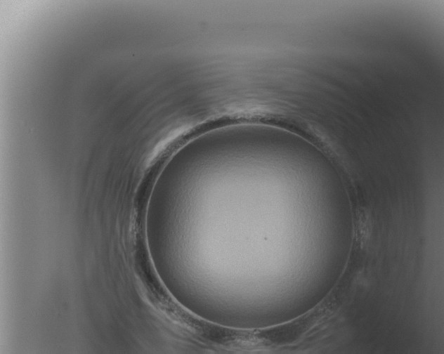 X0000077380583200610271948