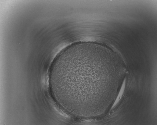 X0000077380584200610271948