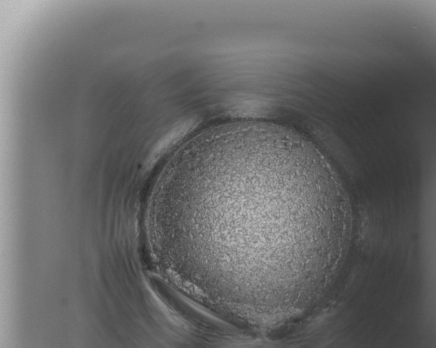 X0000077380586200610271948