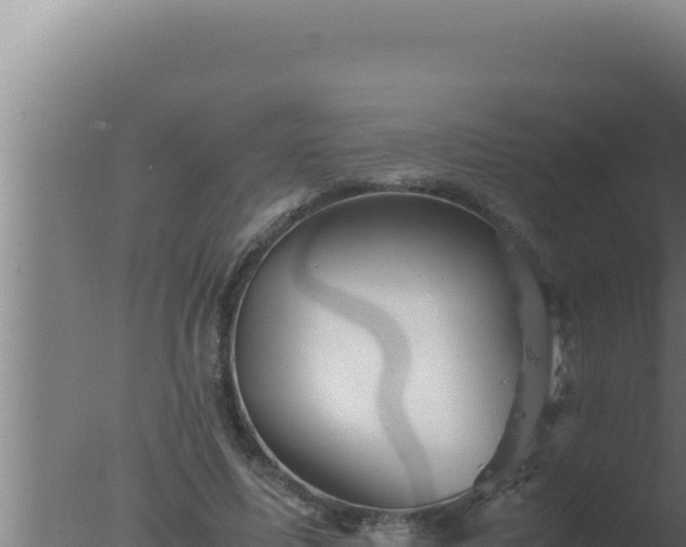 X0000077380587200610271948