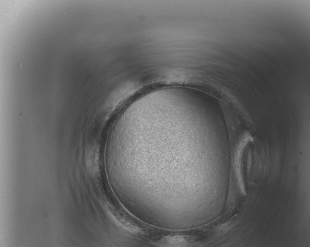 X0000077380588200610271948