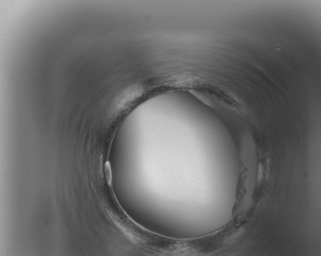 X0000077380589200610271948