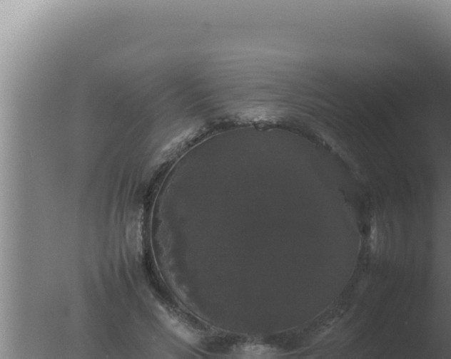 X0000077380590200610271948