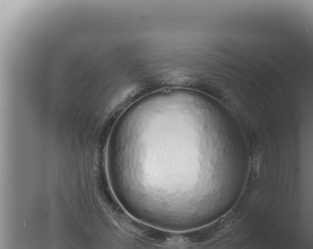 X0000077380591200610271948