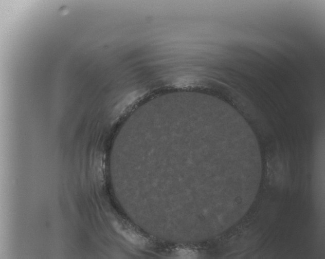 X0000077380592200610271948