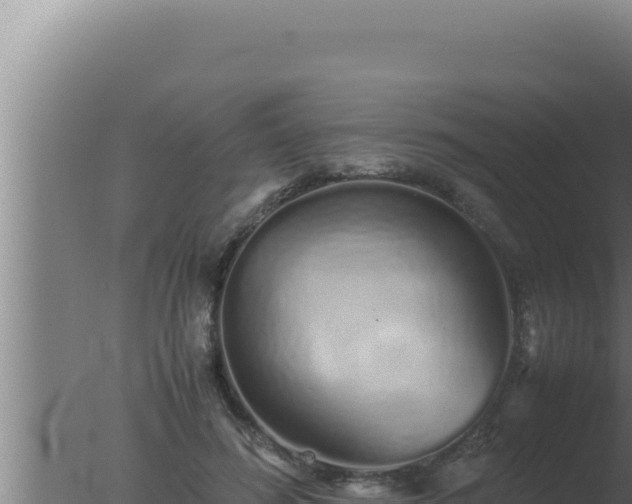 X0000077380596200610271948