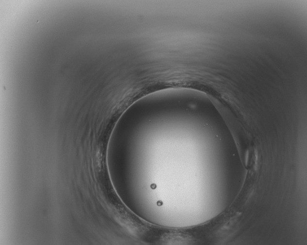 X0000077380597200610271948