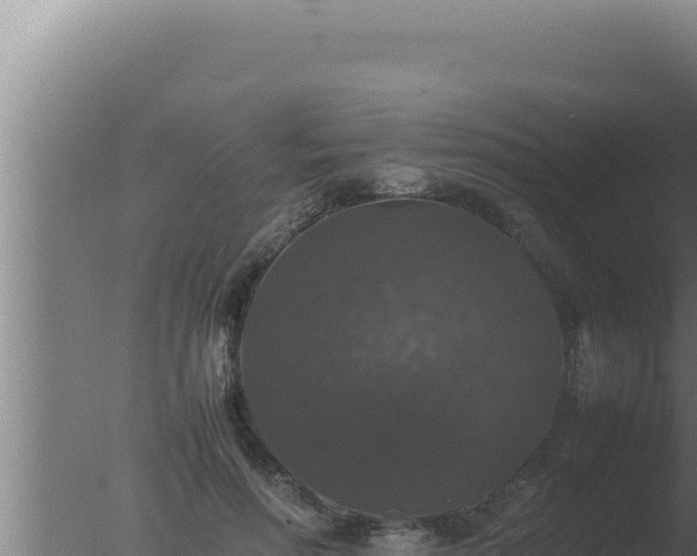 X0000077380598200610271948