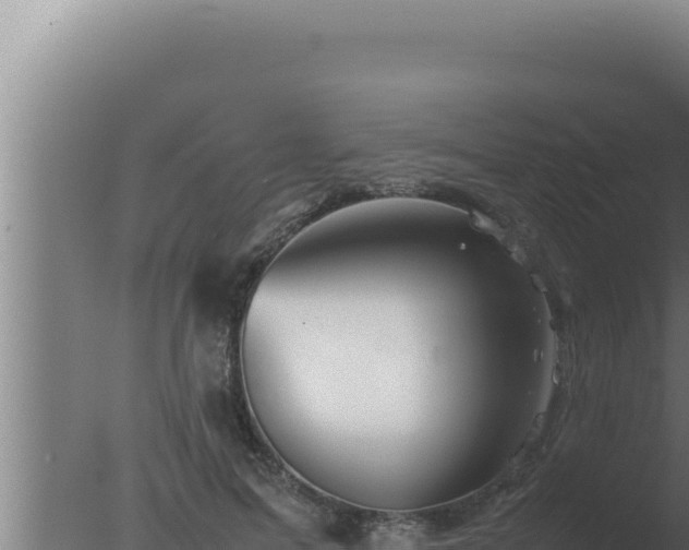 X0000077380599200610271948