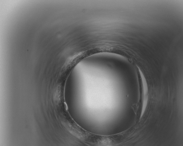 X0000077380600200610271948