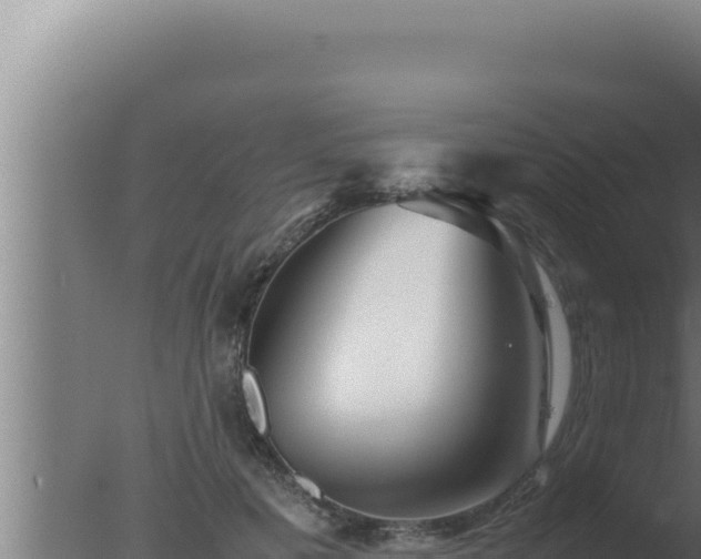 X0000077380601200610271948