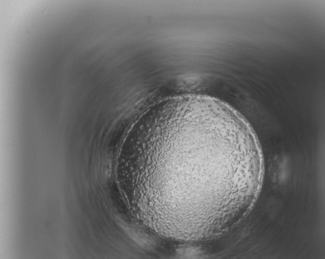 X0000077380602200610271948