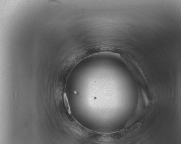 X0000077380604200610271948