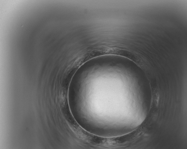 X0000077380607200610271948